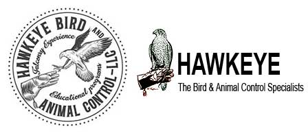 Hawkeye Bird and Animal Control LLC
